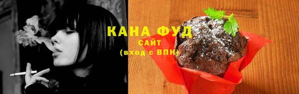 индика Бронницы