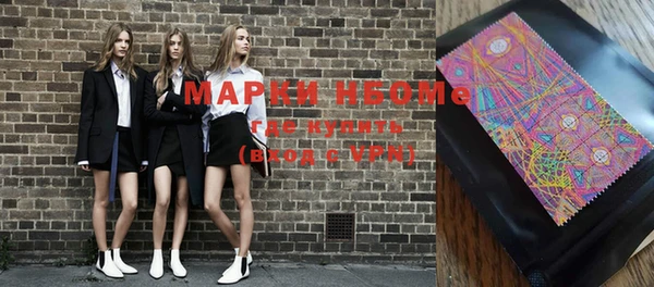 индика Бронницы