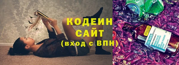 индика Бронницы