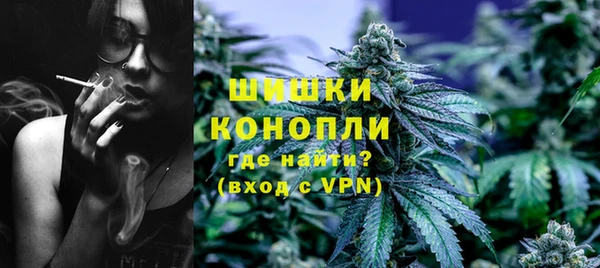 индика Бронницы